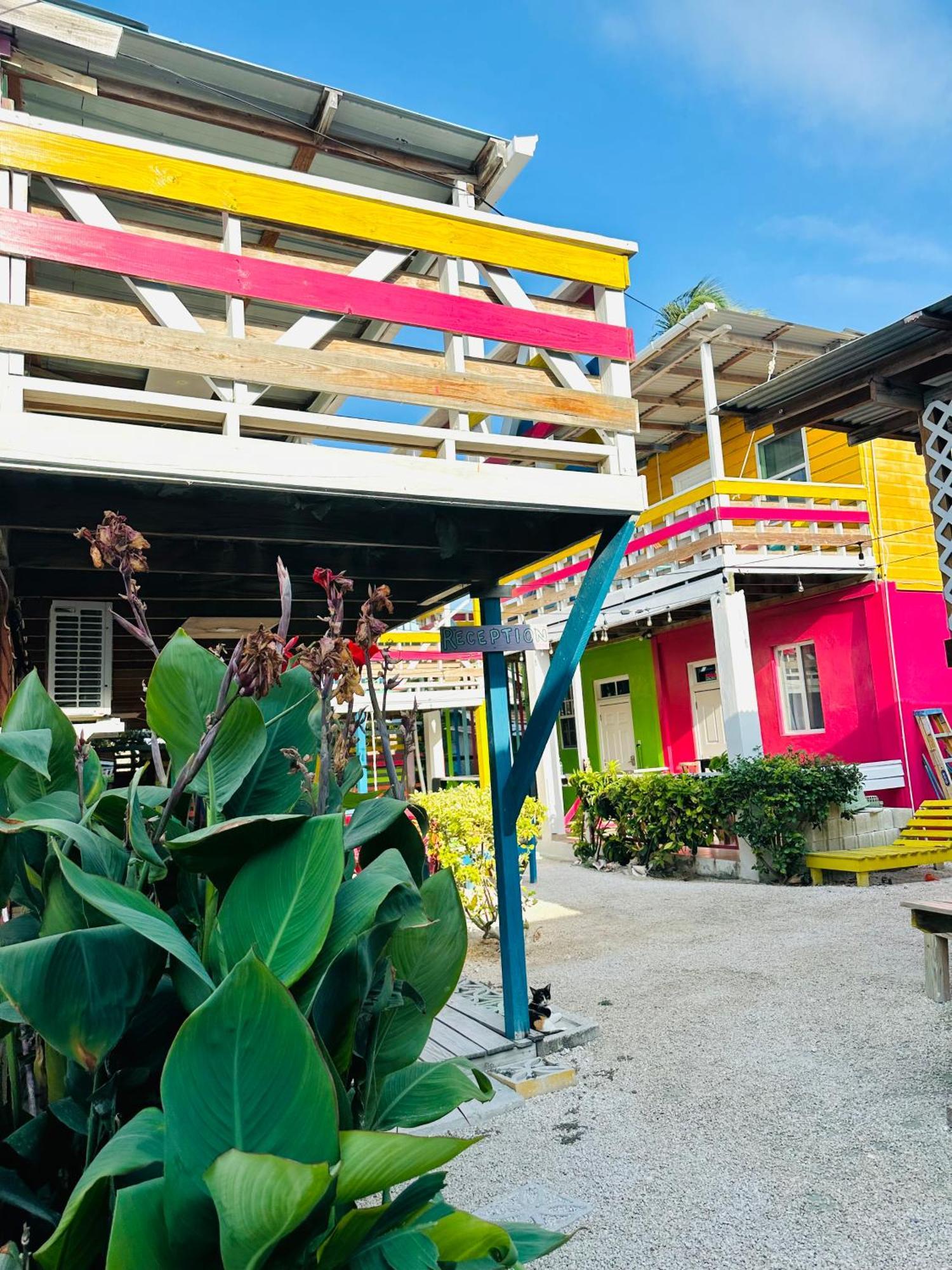 Go Slow Guesthouse Caye Caulker Eksteriør bilde