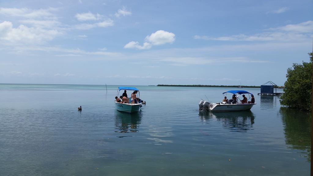 Go Slow Guesthouse Caye Caulker Eksteriør bilde